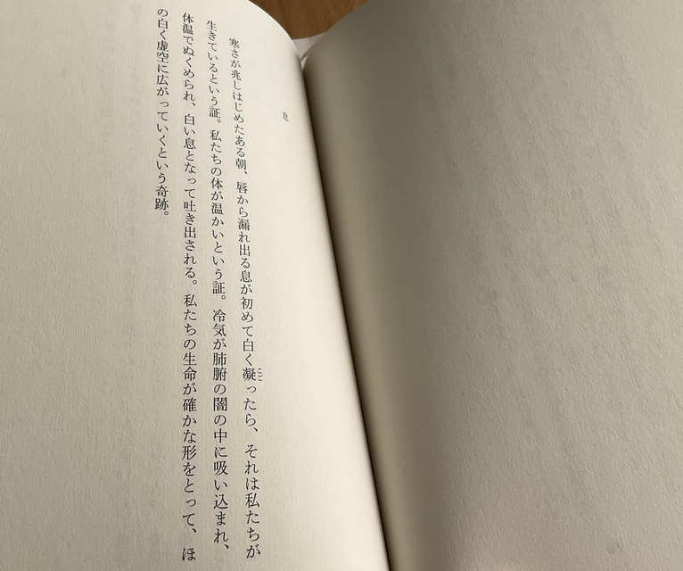 20241215 subetenoshiroi 2 .jpg