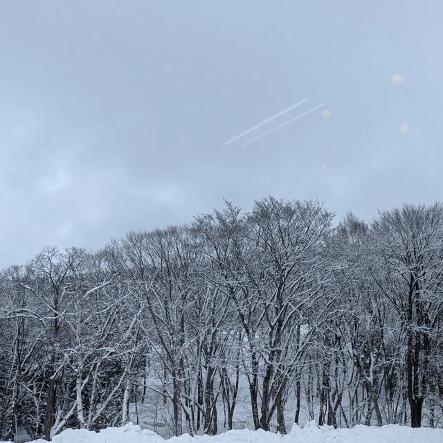 2024122 bunkanodattsouhei 2