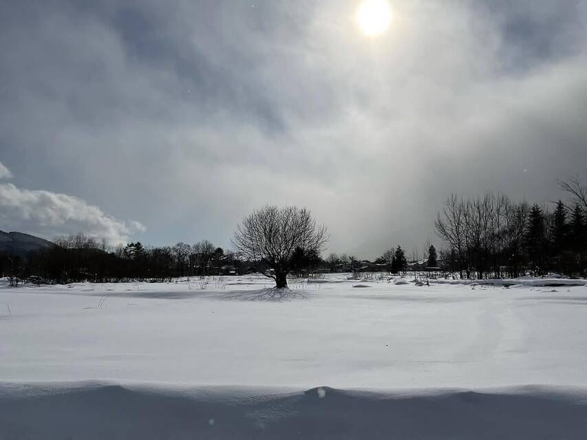 202501005 matomaranaikotobawoikiru 2