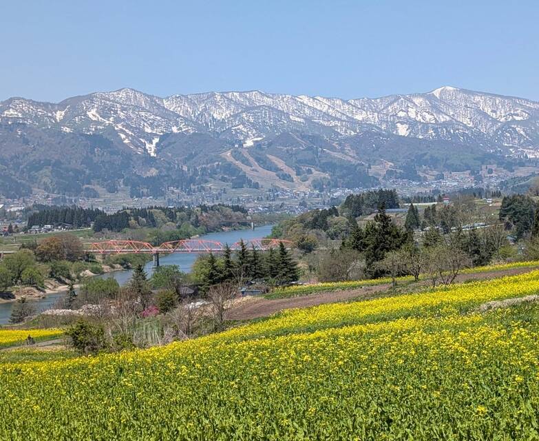 20250505 kakinchou book 2